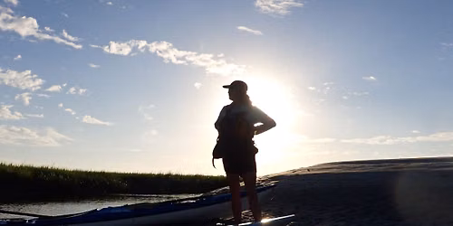 Wassaw Island Full-Day Kayak Adventure