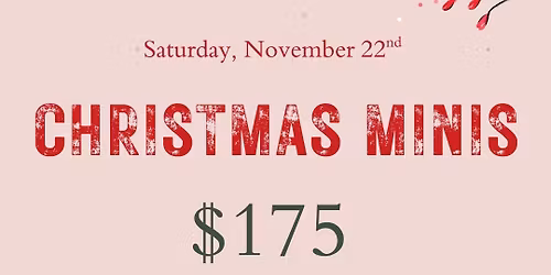 Christmas Minis