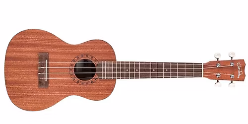 Monday Ukulele Strums at the East Columbia Library 