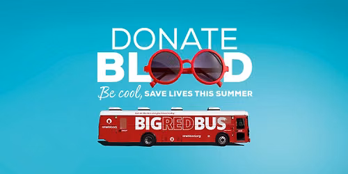 Donate Blood at Lucky Dog Bark & Brew \ud83d\udc36\ud83c\udf7a\ud83e\ude78