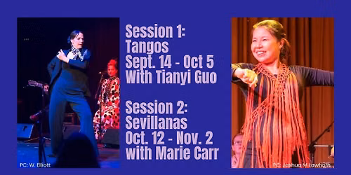 Beginner Flamenco Dance Classes - Fall Session 2