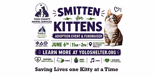 6th Annual Smitten for Kitten Event