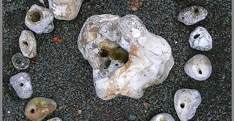 Spring Edition of - The Craft 101 with Kelsi the Wolf Witch