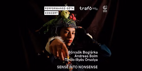 B\u00f6rcs\u00f6k Bogl\u00e1rka - Andreas Bolm - T\u00f6r\u00f6k-Illy\u00e9s Orsolya: SENSE INTO NONSENSE