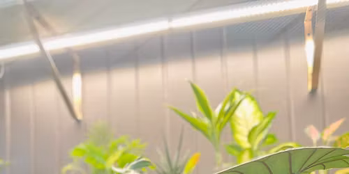 Benefit for Hilary\ud83d\udc9c