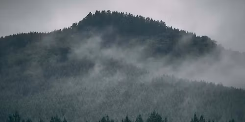 Living Presence - utforska styrka och s\u00e5rbarhet