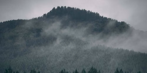 Living Presence - utforska din styrka och s\u00e5rbarhet (Obs! Ny tid)