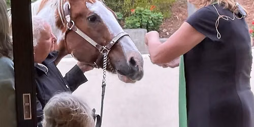 Blessing of the Animals