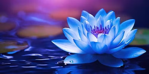 Monthly Retreat - Surviving Family Dynamics