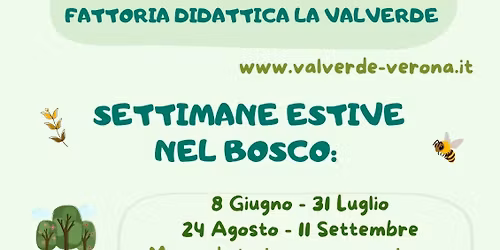 SETTIMANE VERDI NEL BOSCO - estate 2026