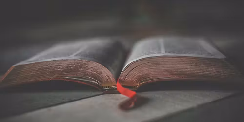 Men's Fall Bible Study | Wednesday Mornings