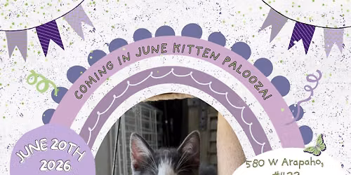 Kitten Palooza