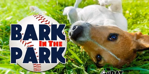 VolAux at Bark in the Park