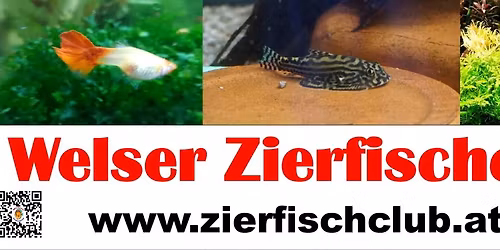 Vereinsausflug - Zoo Linz