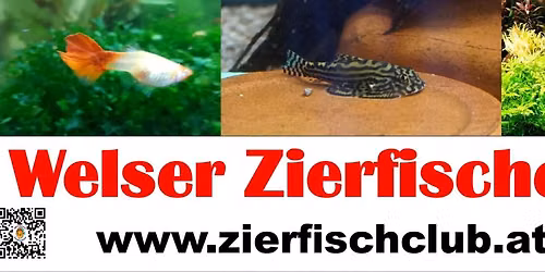Vereinsausflug - Zoo Linz