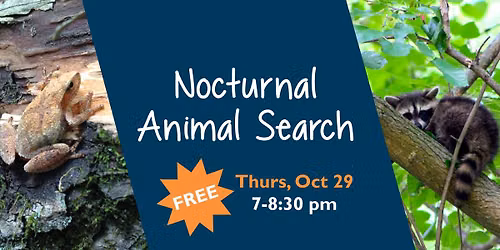 Nocturnal Animal Search