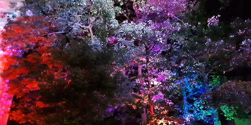 Stadtteilfest Zeppelinheim