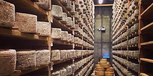 Classic Class: Cheese of the British Isles\u2014$75