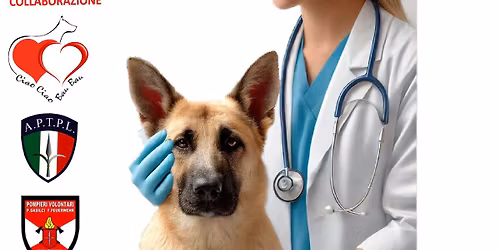 Corso di Primo Soccorso Veterinario