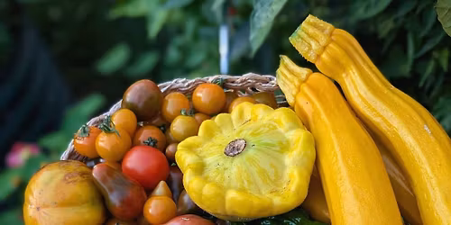 Neighborhood Edible Plant Swap