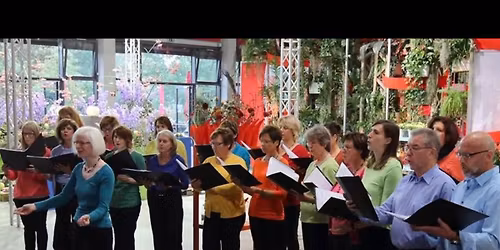 ChillOut \u2013 Konzert mit Chor Belcanto