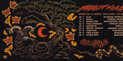 PROTEST THE HERO | Karlsruhe