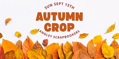 Sunday September 13th Crop