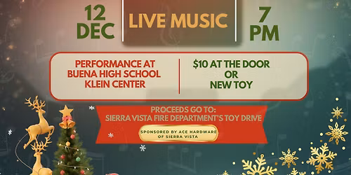 Desert Swing Holiday Concert