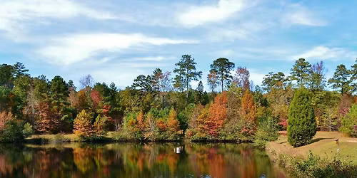 District Hike #203 - Clemmons State Educational Forest