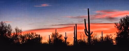 15th Annual Duel In The Desert & 3D Fun Shoot