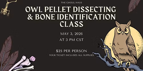 Owl Pellet Dissecting & Bone Identification Class