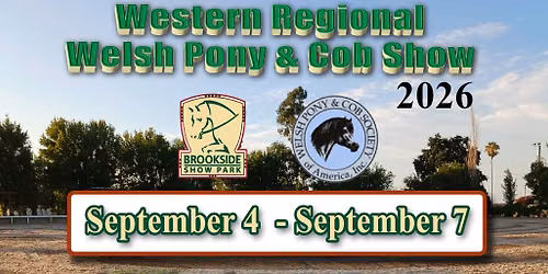 Welsh Pony and Cobb Show!