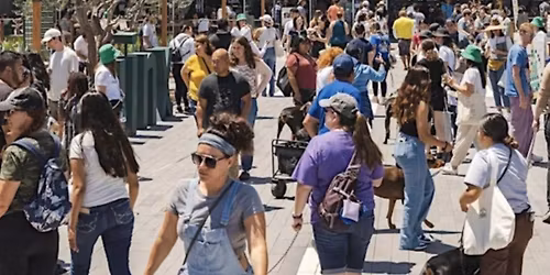 Creative Babe - \ud83c\udfe1 Up \ud83c\udf88 Pop-Up Market @ LBX