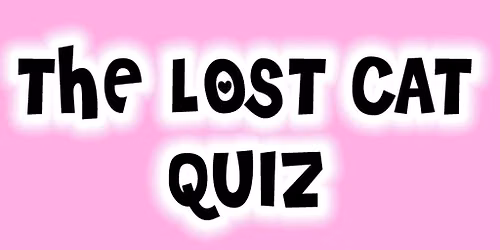 The Lost Cat Quiz