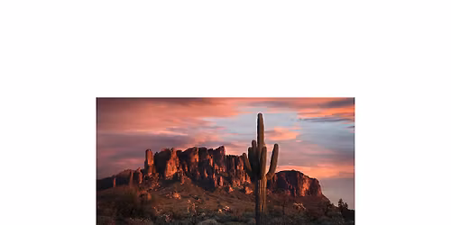 Where Nature and Art Meet by Jon Fischer