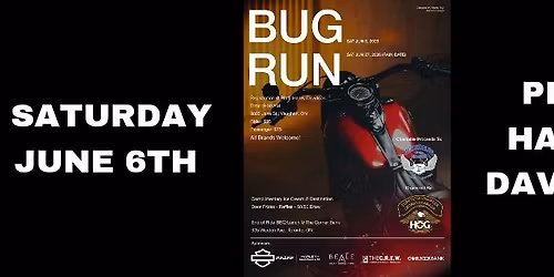Bug Run - Toronto Hog