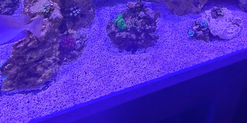 Aqua Camp