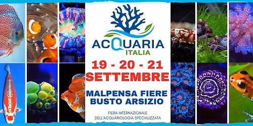 ACQUARIAITALIA 2026