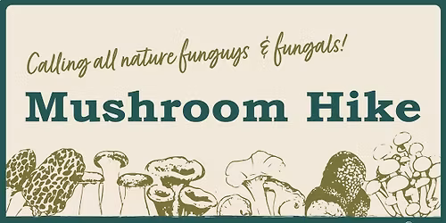 Mushroom Hike