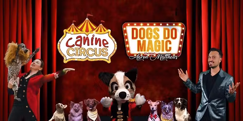 The Canine Circus: Dogs Do Magic!