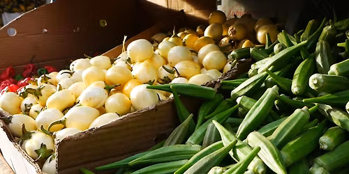 Tr\u00e9sors culinaires de la Goutte d\u2019or