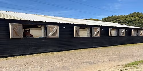 Client Talk: Lameness Evaluation and how technology helps us out