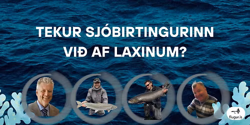 Tekur sj\u00f3birtingurinn vi\u00f0 af laxinum?