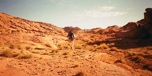 Healing Hospitality: Nature Walk & Connection