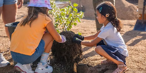 United Way Day of Caring | Hayley Hendricks Park