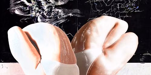 DT pr\u00e6senterer FIFTY-FIFTY 