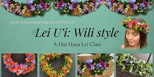 Lei U\u02bbi: Wili Style - March 31st class