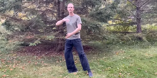 Wild Presence: Beginning Tai Chi