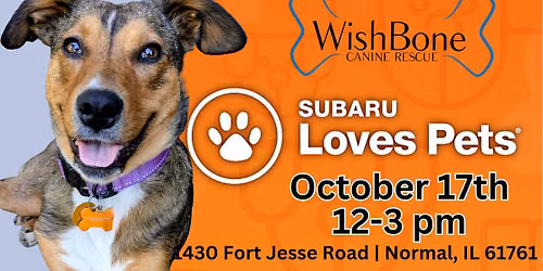 Subaru Loves Pets