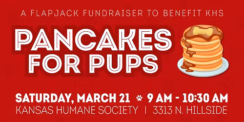 Pancakes for Pups